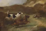 Terriers chasing a rabbit by Charles Morris, oil on canvas, sold May 2022