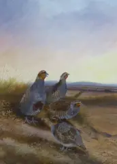 Evening by Philip Rickman, 1971, watercolour and gouache, sold May 2022