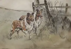 Rough Collies by Henry Wilkinson, etching, offered May 2022