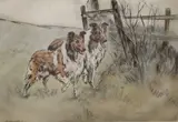 Rough Collies by Henry Wilkinson, etching, offered May 2022