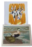 Eider Duck' limited edition colour linocut print 4/20 by Clifford Webb, linocut, sold Jul 2022