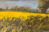 Rapefield by Paul Robinson, oil on board, sold Jul 2022