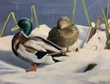 Untitled by Norman Kelly, oil on canvas, sold Jul 2022