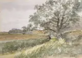 An English Landscape with hedgerows by Charles Harmony Harrison, Watercolour on paper, offered Jul 2022