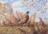 A Ring-necked pheasant in surrounding foliage, chromolithograph, limited edition, numbered (10/250) and signed in pencil, framed and glazed by Peter Merrin, pencil, offered Jul 2022