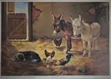 Centre of Attention by Donna Crawshaw Sea Swa, print (other), offered Jul 2022