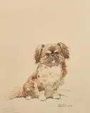 A study of a small dog by Harry Rountree, watercolour and pencil, offered Oct 2023
