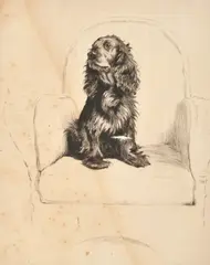 A spaniel on a chair by Cecil Aldin, etching, sold Oct 2023