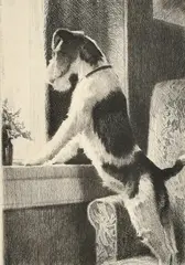 American, an etching of a dog standing at a window by Morgan Dennis, etching, sold Oct 2023