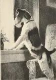 American, an etching of a dog standing at a window by Morgan Dennis, etching, sold Oct 2023