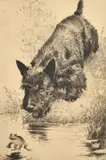 Scram by Morgan Dennis, etching, sold Oct 2023