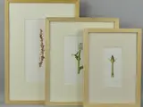All by Maureen Ribbins, WATERCOLOUR, sold Jun 2018