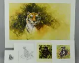 'WORKING SKETCH FOR A PAINTING OF A TIGER', a limited edition print by David Shepherd, print, sold Jun 2018