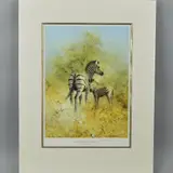 Zebra mother and foal, etosha by David Shepherd, print, sold Jun 2018