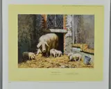 DOWN ON THE FARM, MRS P AND THE KIDS' a limited edition print 261/500 of a sow and her piglets by David Shepherd, print, sold Jun 2018