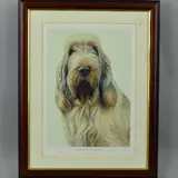 White and orange italian spinone by Nigel Hemming, print, sold Jun 2018