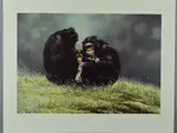 Family portrait by Spencer Hodge, print, sold Jun 2018