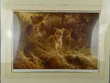 Mothers pride by Dick van Heerde, print, sold Jun 2018