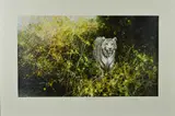 The white tiger of rewa by David Shepherd, print, sold Jun 2018
