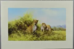 Leopards by David Shepherd, print, sold Jun 2018