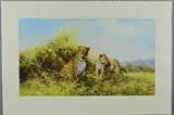 Leopards by David Shepherd, print, sold Jun 2018