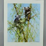 Up a gum tree by David Shepherd, print, sold Jun 2018