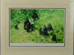 Lowland gorillas by David Shepherd, print, sold Jun 2018