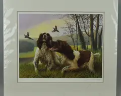 Springer spaniels by Nigel Hemming, print, sold Jun 2018