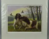 Springer spaniels by Nigel Hemming, print, sold Jun 2018