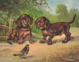 A New Friend by William Franken, oil on canvas (unstretched), sold Jul 2021