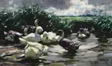 Enten Im Wasser by Alexander Koester, oil on canvas, sold Apr 2009