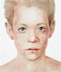 Murphy by Cherry Hood, 2002-03, watercolour and oil glazes on canvas, offered Apr 2009