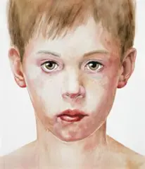 Maurice by Cherry Hood, 2002-03, watercolour and oil glazes on canvas, offered Apr 2009