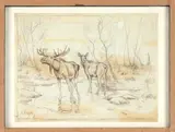 Couple d'élans dans la mare by Georges Rötig, Crayon et lavis sur papier calque, sold Nov 2024