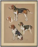 Etudes de beagles by Georges Rötig, Aquarelle et gouache blanche, sold Nov 2024