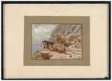 Lion et lionne au repos by Georges Rötig, Gouache, sold Nov 2024