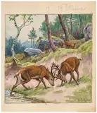 Combat de cerfs by Georges Rötig, Gouache, sold Nov 2024