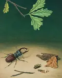 Hirschkäfer, 1988 by Max Heuberger, oil on canvas, offered Dec 2018