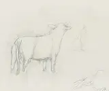 Taureau en combat by René Victor Auberjonois, pencil, offered Dec 2018