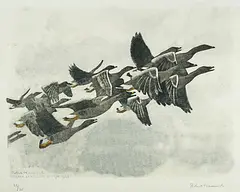Graugänse by Robert Hainard, 1943, woodcut, sold Dec 2018