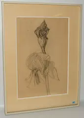 Iris by Max Gubler, charcoal, offered Dec 2018