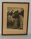 Herbstabend by Albert Steiner, photograph, sold Dec 2018