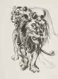 Histoires Naturelles by Hans Erni, lithograph, offered Sep 2018