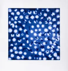 Chaperone by Ross Bleckner, 2002, Etching and Aquatint in Colors, sold Jan 2025
