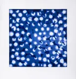 Chaperone by Ross Bleckner, 2002, Etching and Aquatint in Colors, sold Jan 2025