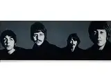 The Beatles (mount Rushmore) by Richard Avedon, photograph, offered Jul 2018