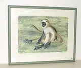Langur by Hans Erni, 1973, color lithograph, sold Sep 2018