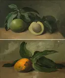 Gegenstücke: Stilleben mit Avocado / Stilleben mit Mango by Jean-Pierre-Charles Chabannes la Palice, oil on panel, sold Jun 2018