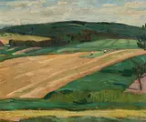 Hügellandschaft mit Acker", 1904 by Hans Brühlmann, oil on board, offered Jun 2018