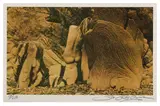 Untitled by Bob Carlos Clarke, lithograph, offered Jan 2023